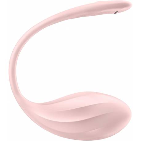 Ribbed Petal Rose Connect App
