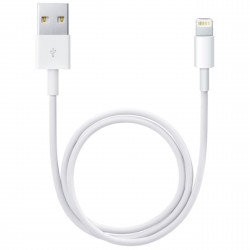 Oryginalny kabel Apple Lightning 1 metr BULK